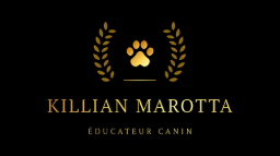 KILLIAN MAROTTA EDUCATEUR CANIN